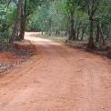 Image Gallery of Nest Estate Homestay