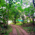 Image Gallery of Nest Estate Homestay