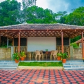 Image Gallery of Nest Estate Homestay