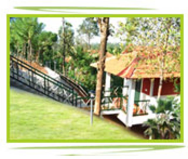 Glenora Homestay Wayanad for your Nature Holidays | Book Glenora Homestay online