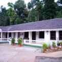 Image Gallery of Jungle Greens Homestay