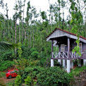 Image Gallery of Jungle Greens Homestay