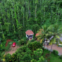 Image Gallery of Jungle Greens Homestay