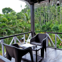 Image Gallery of Jungle Greens Homestay