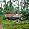 Image Gallery of Jungle Greens Homestay