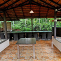 Image Gallery of Jungle Greens Homestay