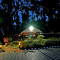 Image Gallery of Jungle Greens Homestay