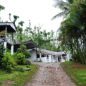 Image Gallery of Jungle Greens Homestay