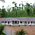 Image Gallery of Jungle Greens Homestay