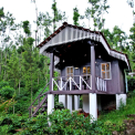 Image Gallery of Jungle Greens Homestay