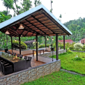 Image Gallery of Jungle Greens Homestay