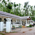 Image Gallery of Jungle Greens Homestay