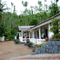 Image Gallery of Jungle Greens Homestay