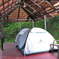 Image Gallery of Jungle Greens Homestay