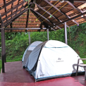 Image Gallery of Jungle Greens Homestay