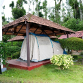 Image Gallery of Jungle Greens Homestay