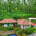 Image Gallery of Jungle Greens Homestay