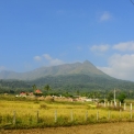 Image Gallery of The Cennet Homestay
