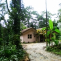 Image Gallery of Forest Homestay