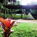 Image Gallery of Forest Homestay