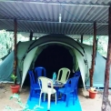 Image Gallery of Forest Homestay