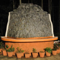Image Gallery of Halligadde Homestay