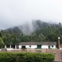 Image Gallery of Silver Brook Homestay