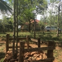 Image Gallery of Cloud Alley Homestay