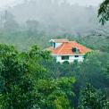 Image Gallery of Cloud Alley Homestay