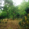 Image Gallery of Cloud Alley Homestay