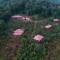 Image Gallery of Forest Edge Resort