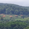 Image Gallery of Forest Edge Resort