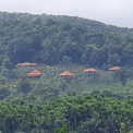 Image Gallery of Forest Edge Resort