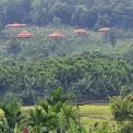 Image Gallery of Forest Edge Resort