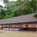 Image Gallery of Forest Edge Resort
