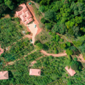 Image Gallery of Forest Edge Resort