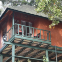 Image Gallery of Forest Edge Resort