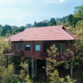 Image Gallery of Forest Edge Resort