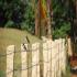 Image Gallery of Nyrit Villa Homestay