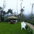 Image Gallery of Moon Mist Homestay