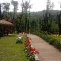 Image Gallery of Moon Mist Homestay