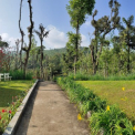 Image Gallery of Moon Mist Homestay