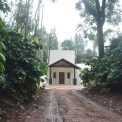Image Gallery of Coffee Aroma Homestay