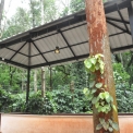 Image Gallery of Coffee Aroma Homestay