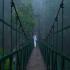 Image Gallery of Vythiri Village Resort
