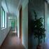 Image Gallery of Vythiri Village Resort
