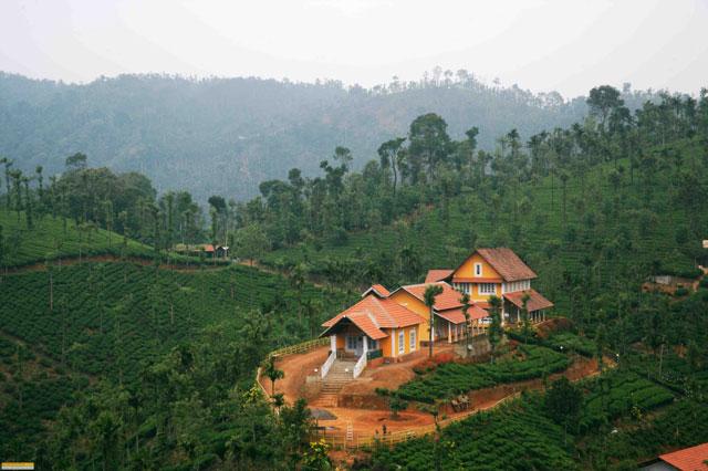 Meenmutty Heights Resort in Wayanad | Meenmutty TEA ESTATE Resort Wayanad | Meenmutty in Wayanad