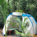 Image Gallery of Triwoods Plantation Stay