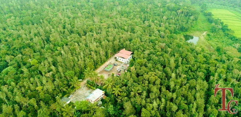 Book Triwoods Plantation Homestay in Sakleshpura | Online Rooms Reservation for Triwoods Homestay | Best Deals for Triwoods Homestay in Sakleshpur