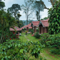 Image Gallery of Coffee County Homestay
